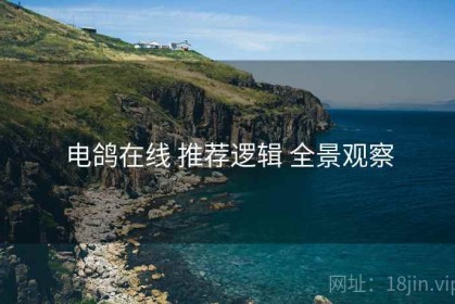 电鸽在线 推荐逻辑 全景观察