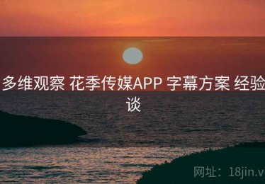 多维观察 花季传媒APP 字幕方案 经验谈
