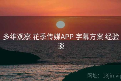 多维观察 花季传媒APP 字幕方案 经验谈