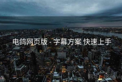 电鸽网页版 - 字幕方案 快速上手