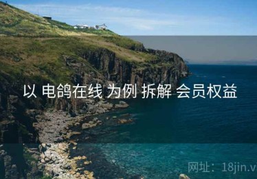 以 电鸽在线 为例 拆解 会员权益