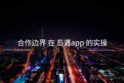合作边界 在 岛遇app 的实操