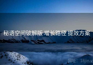秘语空间破解版 增长路径 提效方案