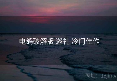 电鸽破解版 巡礼 冷门佳作