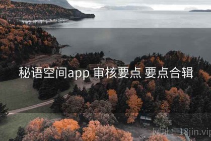 秘语空间app 审核要点 要点合辑