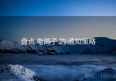 盘点 电鸽子 的 通知策略