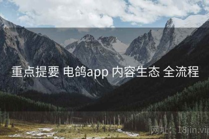 重点提要 电鸽app 内容生态 全流程