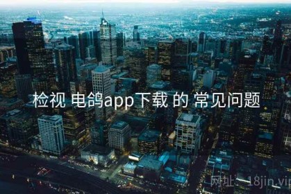 检视 电鸽app下载 的 常见问题