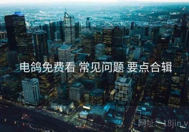 电鸽免费看 常见问题 要点合辑