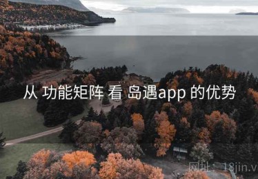 从 功能矩阵 看 岛遇app 的优势
