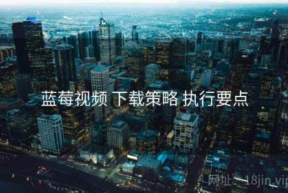 蓝莓视频 下载策略 执行要点