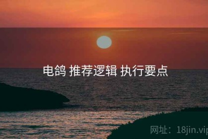 电鸽 推荐逻辑 执行要点