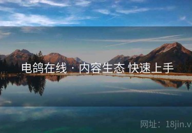 电鸽在线 · 内容生态 快速上手