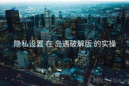 隐私设置 在 岛遇破解版 的实操