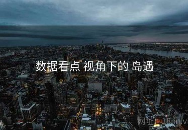数据看点 视角下的 岛遇