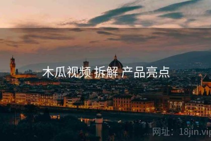 木瓜视频 拆解 产品亮点