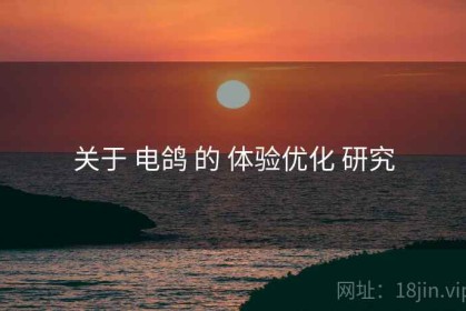 关于 电鸽 的 体验优化 研究