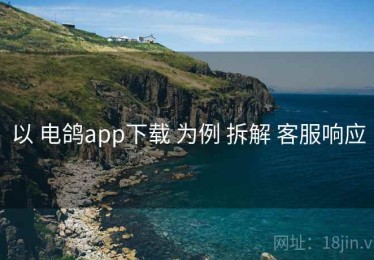 以 电鸽app下载 为例 拆解 客服响应