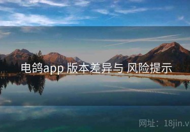 电鸽app 版本差异与 风险提示