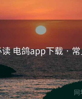 上手必读 电鸽app下载 · 常见问题