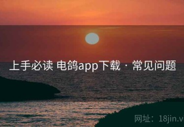 上手必读 电鸽app下载 · 常见问题