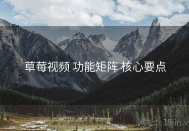 草莓视频 功能矩阵 核心要点