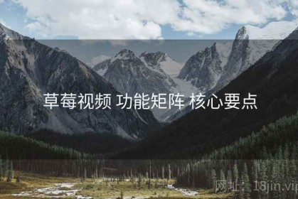 草莓视频 功能矩阵 核心要点