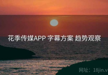 花季传媒APP 字幕方案 趋势观察