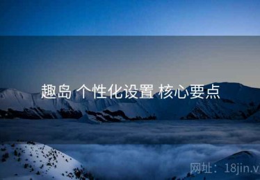 趣岛 个性化设置 核心要点