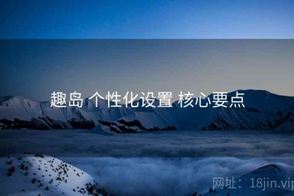 趣岛 个性化设置 核心要点