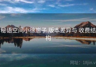 秘语空间小徐崽子 版本差异与 收费结构