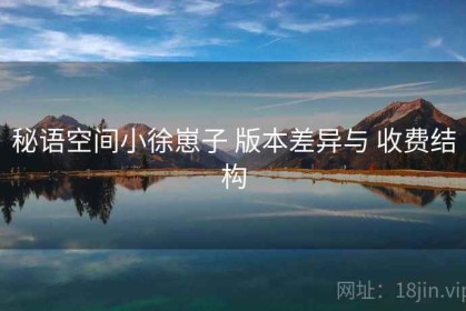 秘语空间小徐崽子 版本差异与 收费结构