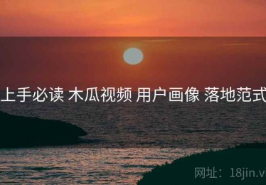 上手必读 木瓜视频 用户画像 落地范式