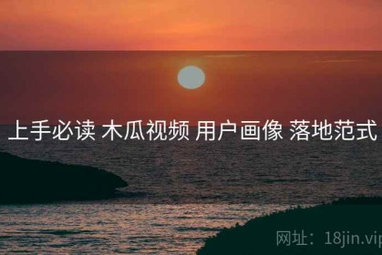 上手必读 木瓜视频 用户画像 落地范式