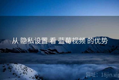 从 隐私设置 看 蓝莓视频 的优势
