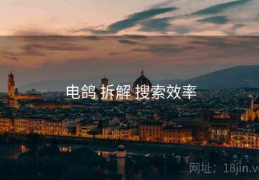 电鸽 拆解 搜索效率