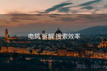 电鸽 拆解 搜索效率