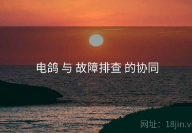 电鸽 与 故障排查 的协同