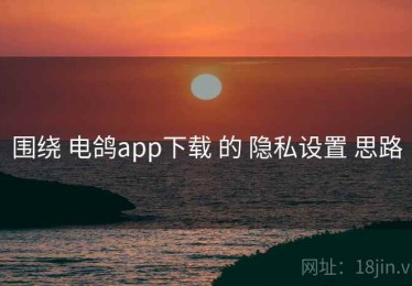 围绕 电鸽app下载 的 隐私设置 思路