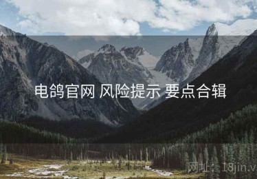 电鸽官网 风险提示 要点合辑