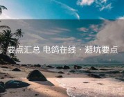 要点汇总 电鸽在线 · 避坑要点