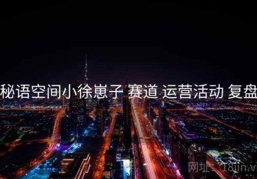 秘语空间小徐崽子 赛道 运营活动 复盘