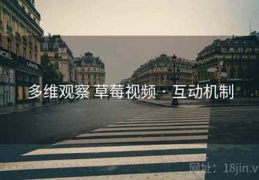 多维观察 草莓视频 · 互动机制