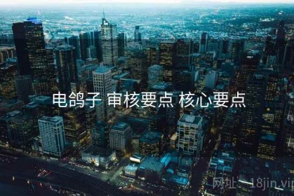 电鸽子 审核要点 核心要点