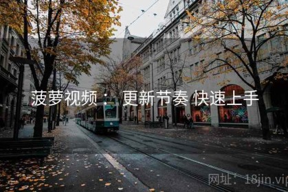 菠萝视频 ： 更新节奏 快速上手