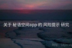 关于 秘语空间app 的 风险提示 研究