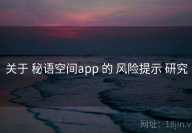 关于 秘语空间app 的 风险提示 研究