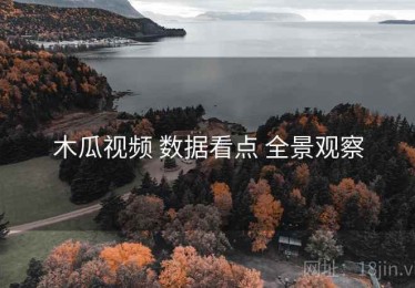 木瓜视频 数据看点 全景观察