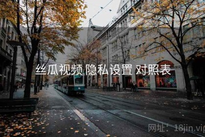 丝瓜视频 隐私设置 对照表
