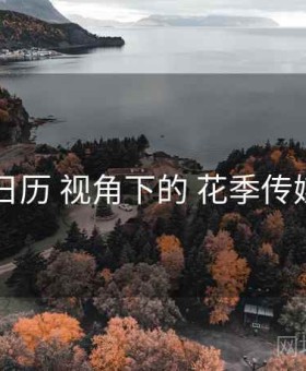 更新日历 视角下的 花季传媒APP